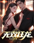 无双狂龙叶无忌