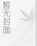 小金乌