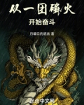 从一团火焰开始进化免费阅读