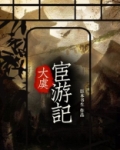 大虞宦游记