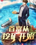 首富从挖矿开始TXT