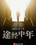 途经中年