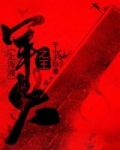 上海滩军火之王