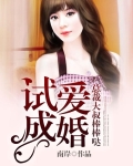 试婚总裁小说