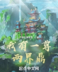 我有一尊两界鼎起点中文网