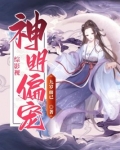 偏宠神明快穿小说免费阅读全文