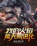 我的火焰能无限进化