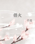 借火小说简介