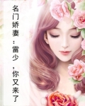名门娇妻：雷少，你又来了