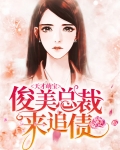 天才萌宝：俊美总裁来追债