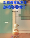 本想要黑化男主，却被娶回家？