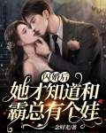 闪婚嫁给霸道总裁小说