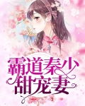 霸道秦少甜宠妻