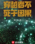 穿越者不死于因果的小说