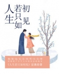 人生若只如初见by梅子黄时雨