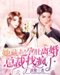 她藏起孕肚离婚,总裁找疯了作者淡紫