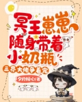 冥王宠妻的小说