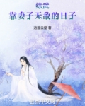 综武：靠妻子无敌的日子