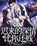 傅先生迟来的深情比你还贱免费阅读
