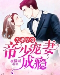 先婚厚爱：帝少宠妻成瘾