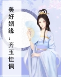 美好姻缘：齐玉佳偶