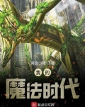 我的魔法时代