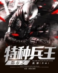 都市之特种兵王 叶风
