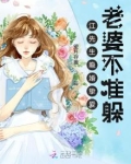 江先生离婚吧免费阅读小说