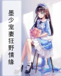 墨少宠妻狂野情缘