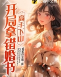 高手下山：开局拿错婚书