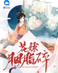 花嫁胭脂碎 醉灵珑