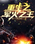 重生之军火之王