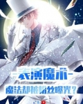 表演魔术魔法却被粉丝曝光小说