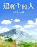 追牦牛的人