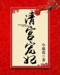清宫宠妃百度网盘