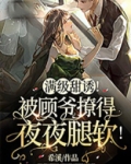 满级甜诱!被顾爷撩得夜夜腿软!