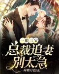 一胎三宝：总裁追妻别太急