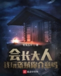 会长大人,我玩盗贼你介意吗 TXT