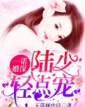 一诺婚深:陆少,轻点宠 第22章