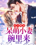 厉少绝宠:呆萌小妻碗里来 阿瑾
