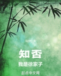 知否：我是徐家子