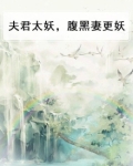 夫君们太腹黑