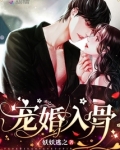 宠婚入骨全文免费阅读无弹窗