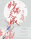 妙偶天成电视剧什么时候播