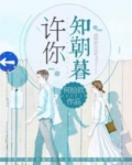 许你知朝暮