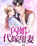 闪婚甜妻大结局是什么