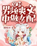 穿到男频爽文中做女配下载百度云