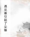 尘缘遇了谁是什么意思