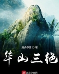 华山三绝 小说