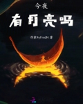 今夜有月亮吗